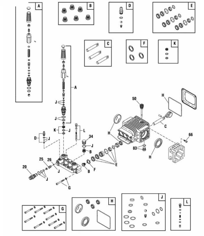 020478 Briggs 314816gs pump breakdown and rebuild kits